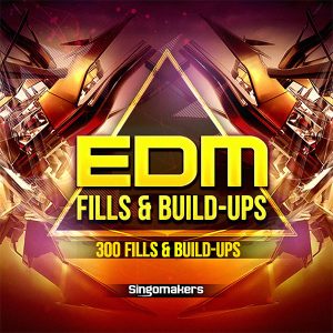 EDM Fills and Build Ups